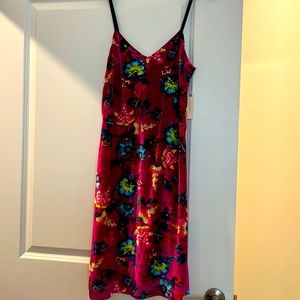 Anthropologie velvet slip dress